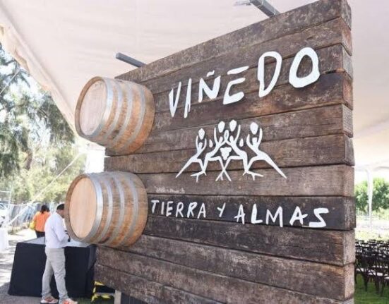 Ya conoces el viñedo “Tierra y Almas”, ubicado en Tecozautla, Hidalgo