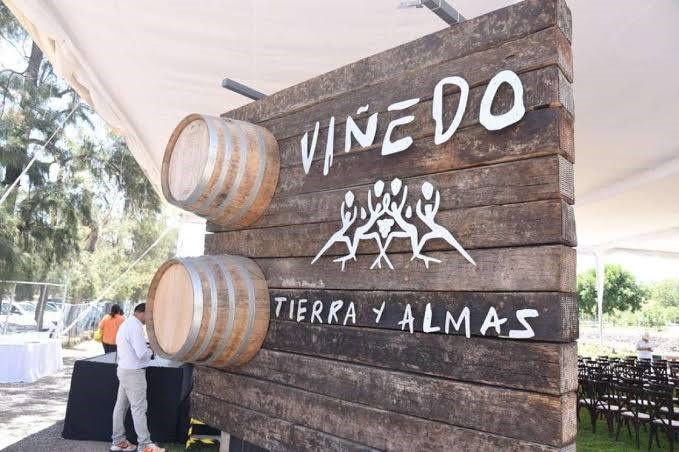 Ya conoces el viñedo “Tierra y Almas”, ubicado en Tecozautla, Hidalgo