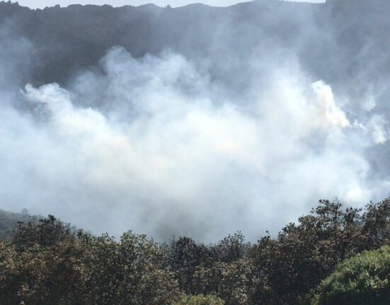 Controlan incendio forestal en Mineral del Chico