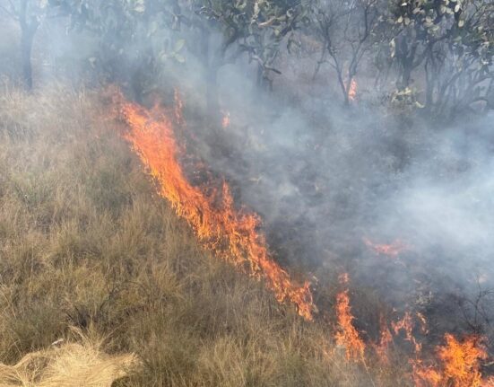 Incendio forestal en Tepeji dejan dos bomberos lesionados