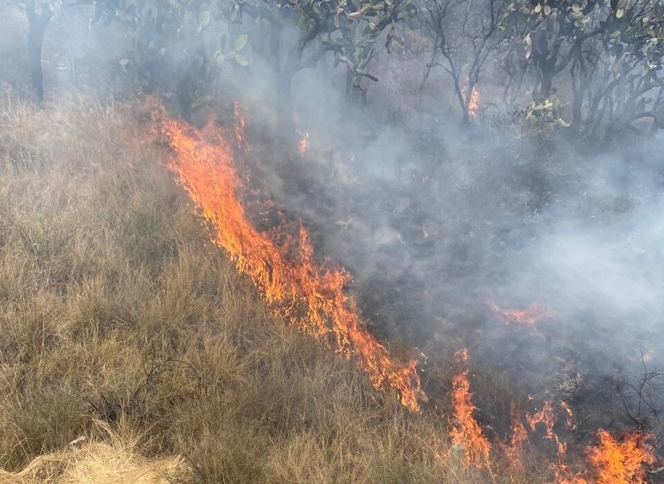 Incendio forestal en Tepeji dejan dos bomberos lesionados