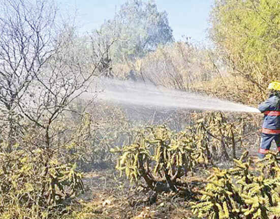 Chilcuautla y Alfajayucan: acciones vs los incendios