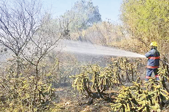 Chilcuautla y Alfajayucan: acciones vs los incendios