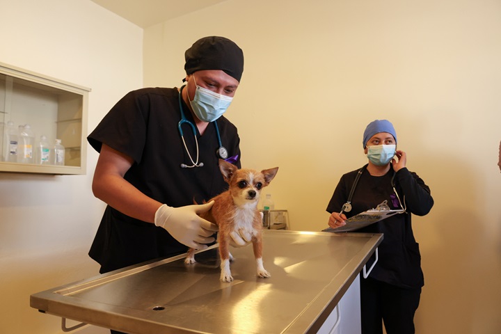 Recorren Centro de Atención Integral Veterinario