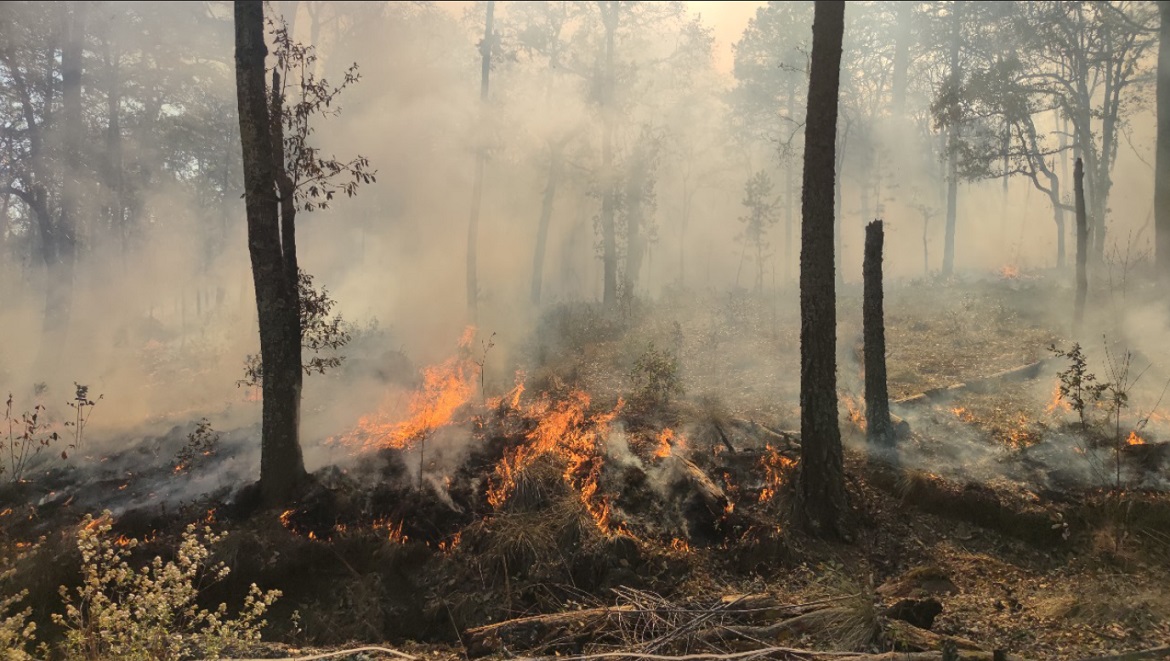 Con la llegada del calor se disparan los incendios forestales