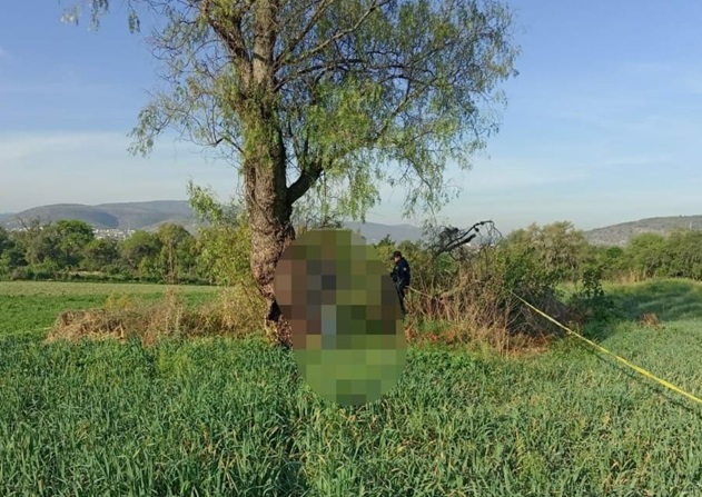 Se colgó de un árbol en Tula