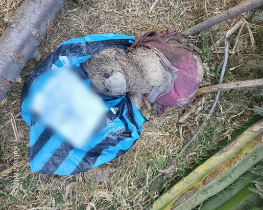 Dejan mensaje de presunto secuestro en oso de peluche en Hidalgo