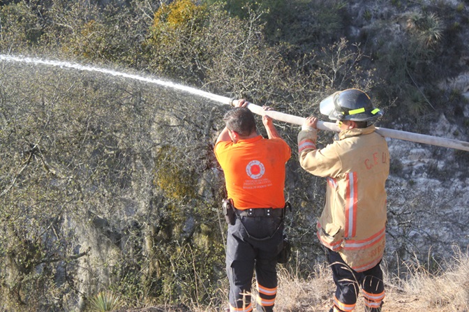 Controlan incendio forestal en la comunidad de Tepetates