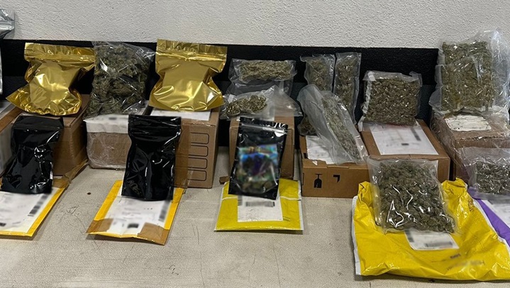 GN detecta 29 envíos con aparente marihuana en empresa de mensajería