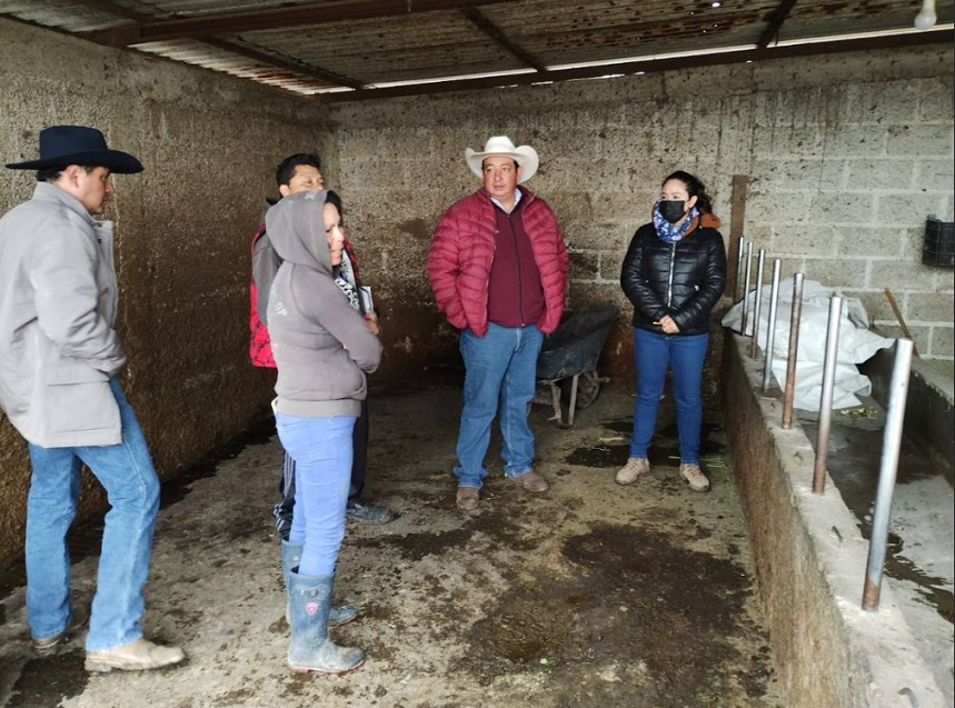 Saderh realiza recorridos en unidades de producción por intoxicación de ganado bovino