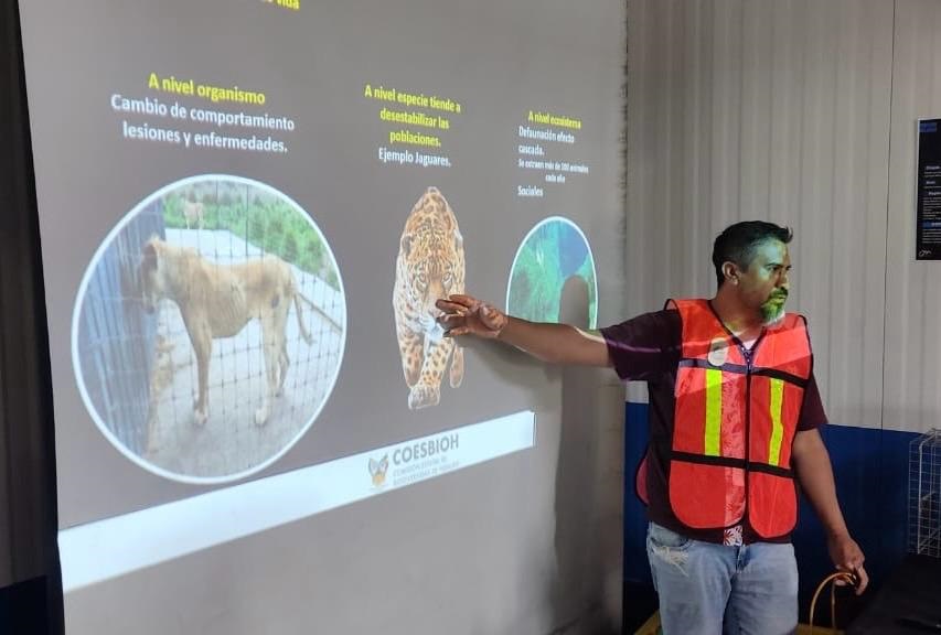 La COESBIOH refuerza su compromiso con la conservación del Jaguar