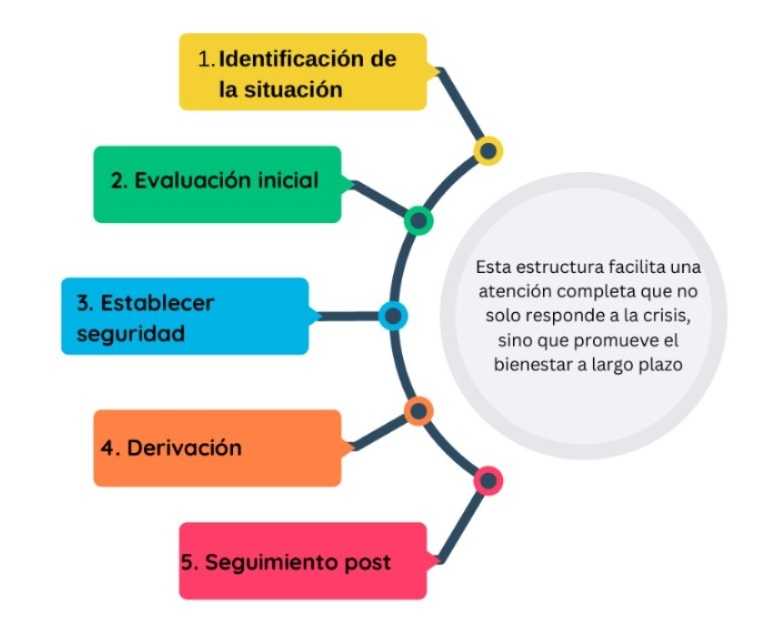 UAEH crea protocolo para atender urgencias emocionales en su comunidad