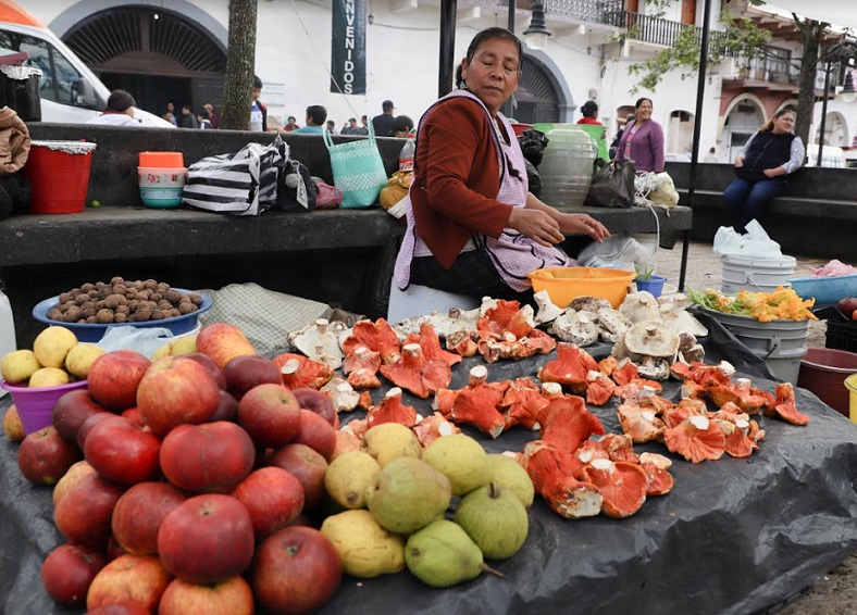 Se realizó el Festival Universitario del Hongo y la Manzana en Acaxochitlán