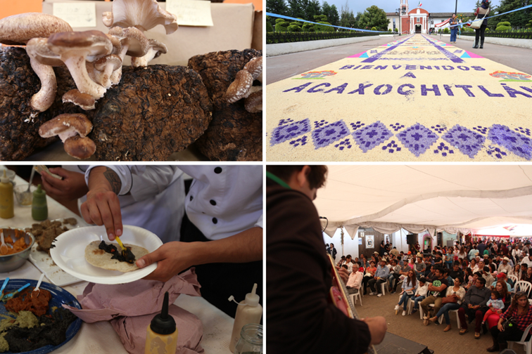 Cultura y tradición en el Festival del Hongo de Acaxochitlán