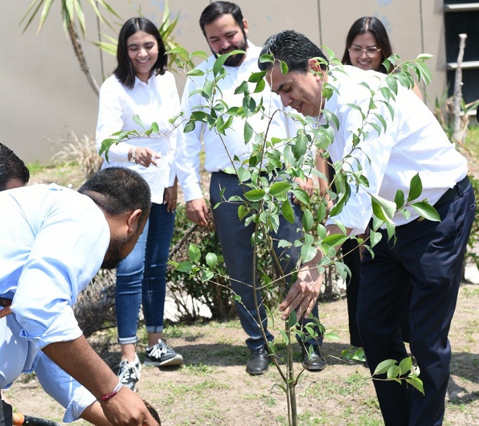 Inician diputados de Hidalgo campaña de reforestación