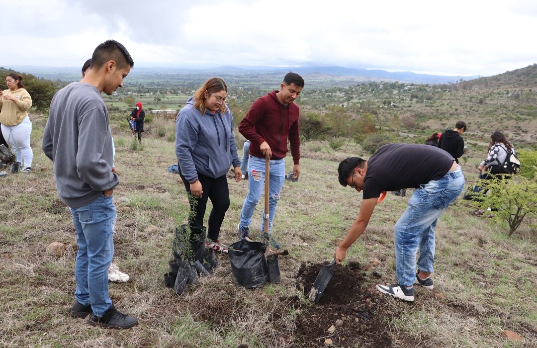 Reforestan área natural protegida en Hidalgo