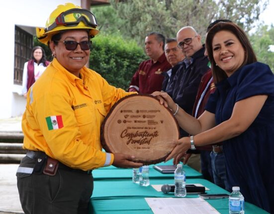 En Hidalgo se han registrado 190 incendios forestales