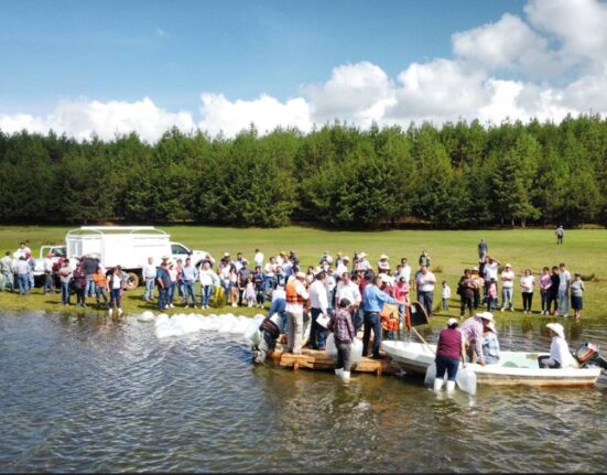 Entrega Saderh crías de peces en Acaxochitlán